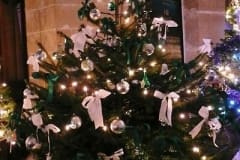 CNV00014-e1579340932325