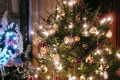 CNV00015-e1579340918610