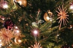 CNV00016-e1579340909676