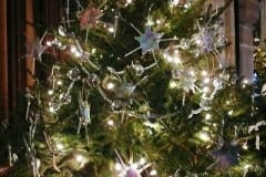 CNV00017-e1579340899351